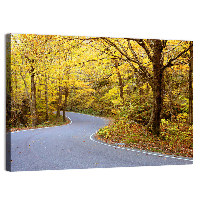 Winding Road Through Autumn Foliage Wall Art as a canvas print