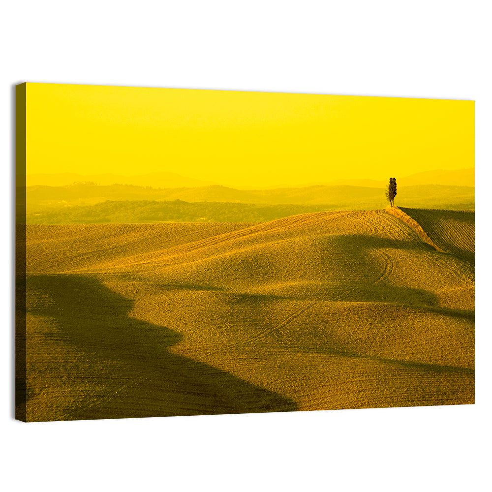 Cypress on Tuscan Hills Wall Art, canvas print, landscape