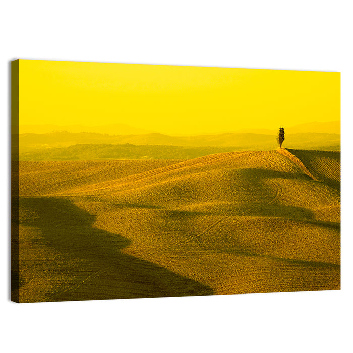Cypress on Tuscan Hills Wall Art as a canvas print