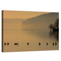 Lake Degray Geese Silhouette Wall Art