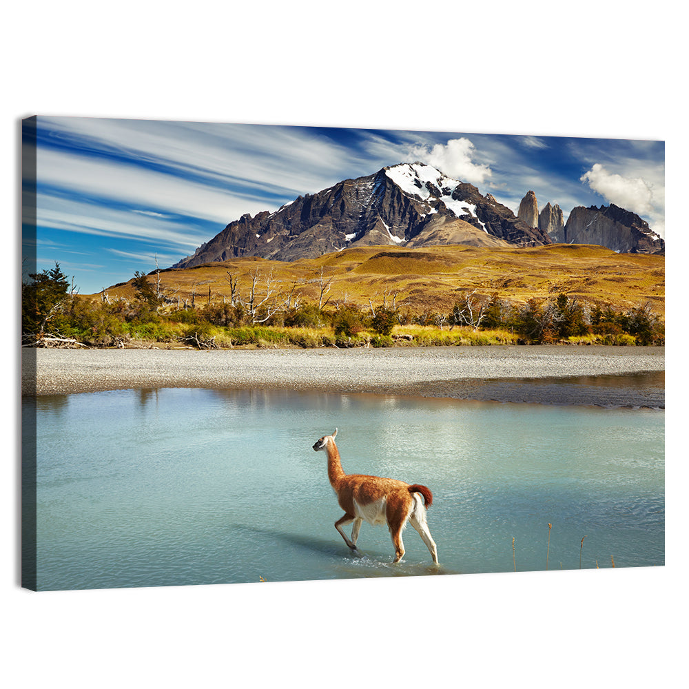 Torres Del Paine, Patagonia Wall Art, canvas print, landscape