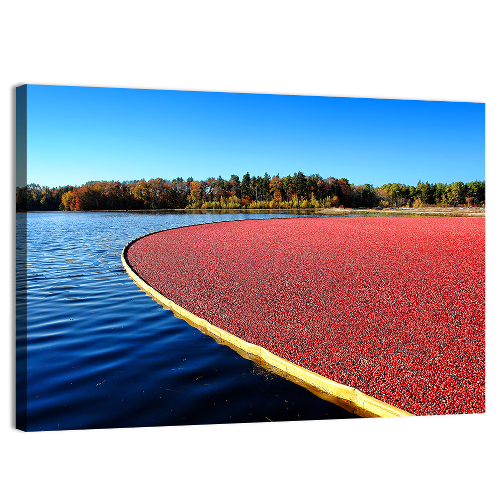 Flooded Cranberry Bog Wall Art, canvas print, landscape