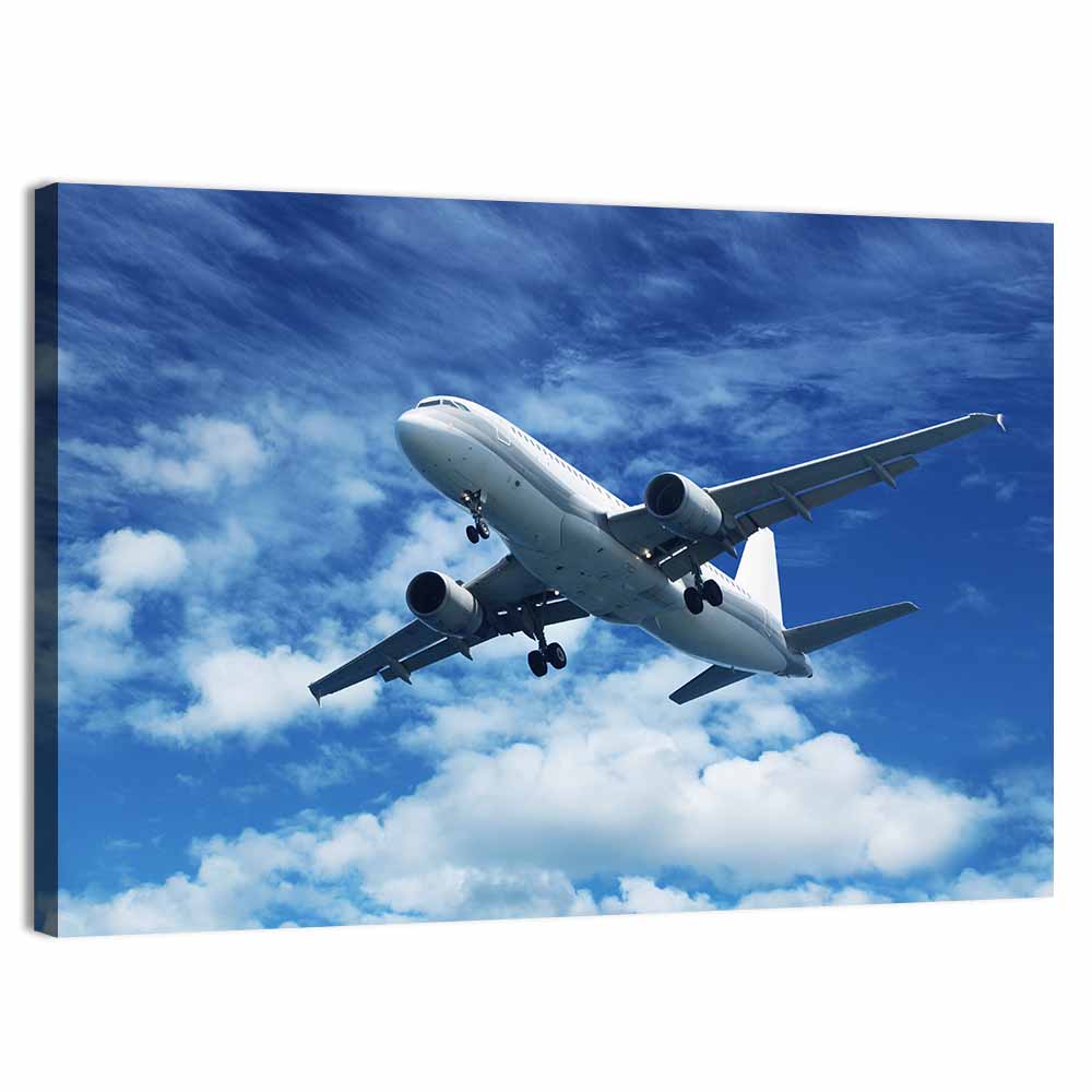Passenger Airplane Wall Art