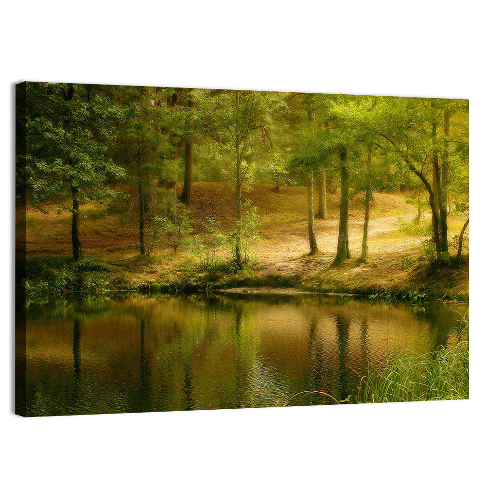 Forest Pond at Golden Hour Wall Art