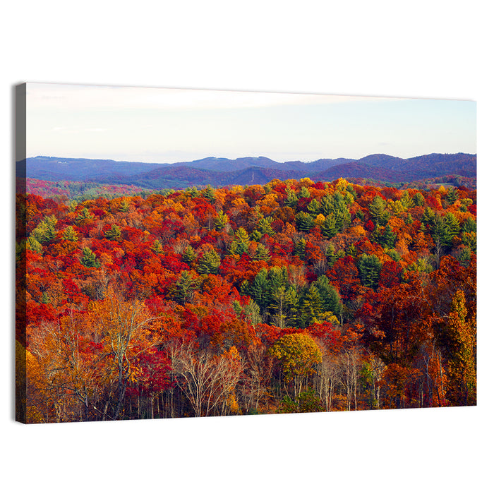Autumn in the Appalachian Forest Wall Art as a canvas print