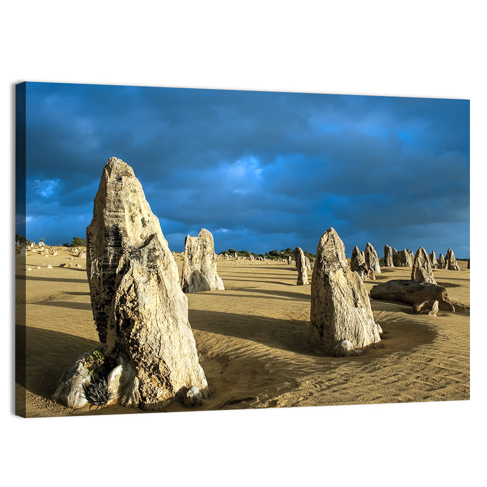 Pinnacles Desert at Golden Hour Wall Art, canvas print, landscape