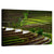 Rice Terraces Wall Art