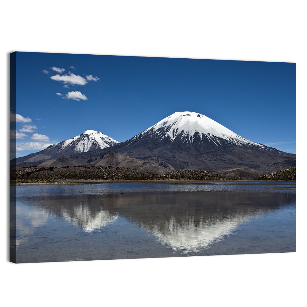 Parinacota Volcano Wall Art