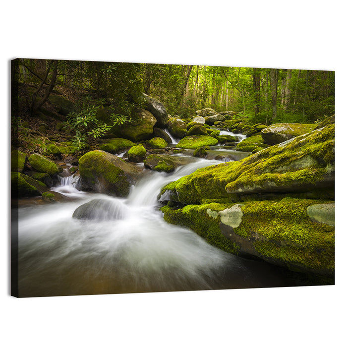 Gatlinburg Park Stream Wall Art as a canvas print
