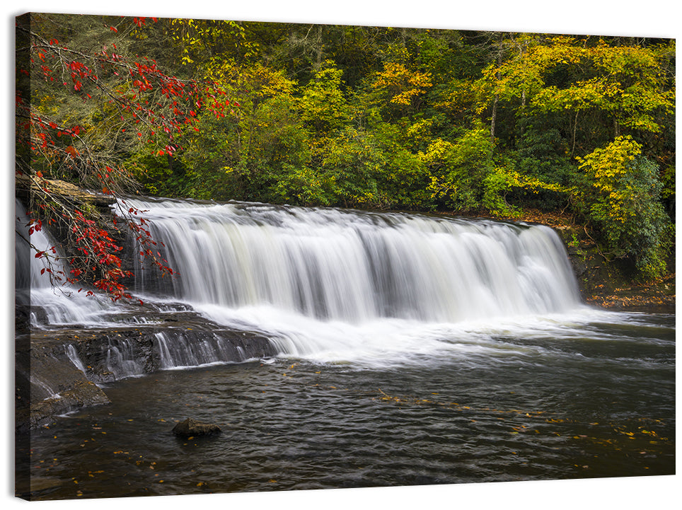 Dupont State Forest Autumn Waterfall Stream Wall Art