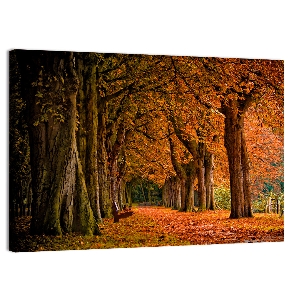 Autumn Forest Pathway Wall Art