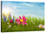 Spring Grass Flowers Wall Art