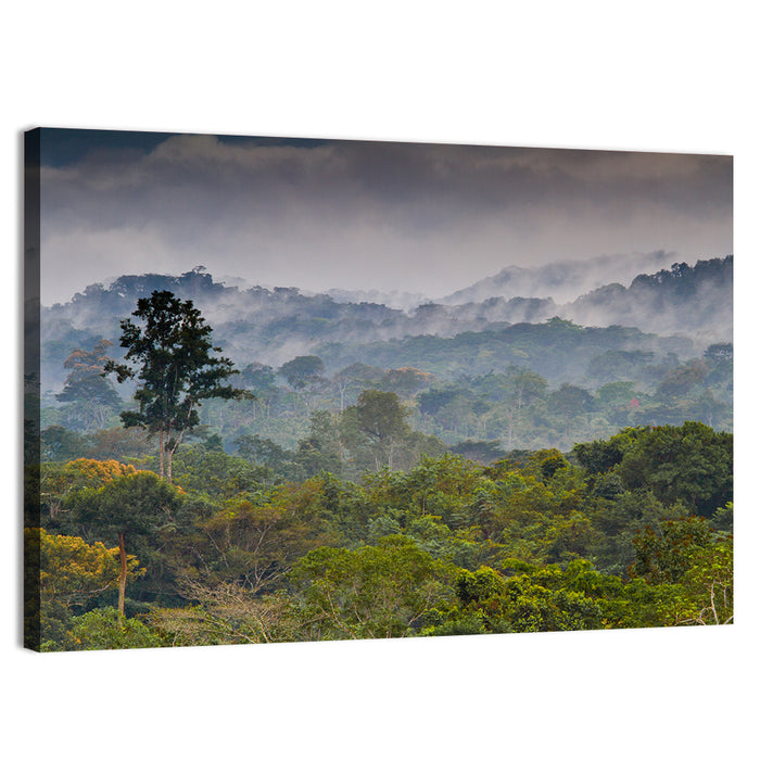 Guinea Rainforest Landscape Wall Art as a canvas print