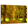 Beech Tree Lane at Golden Hour Wall Art