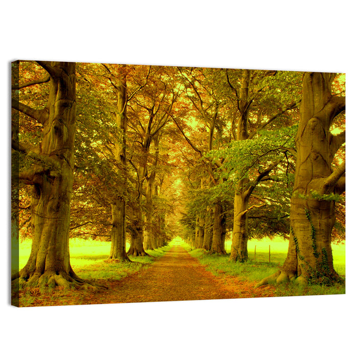 Beech Tree Lane at Golden Hour Wall Art as a canvas print