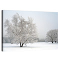 Frosted Birch Grove Wall Art