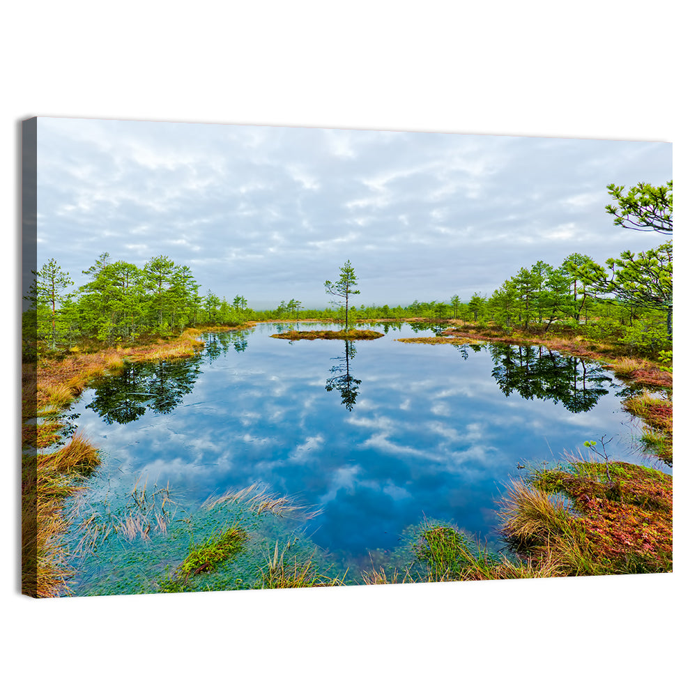 Viru Bog Reflections Wall Art