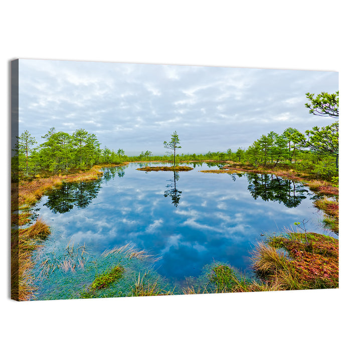 Viru Bog Reflections Wall Art as a canvas print
