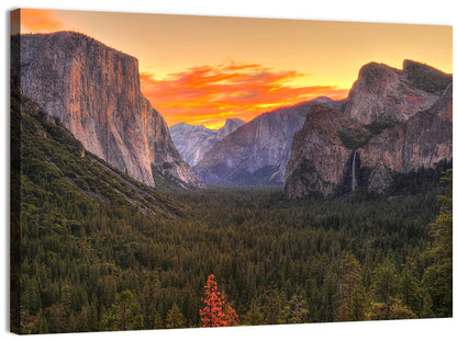 Yosemite National Park Wall Art