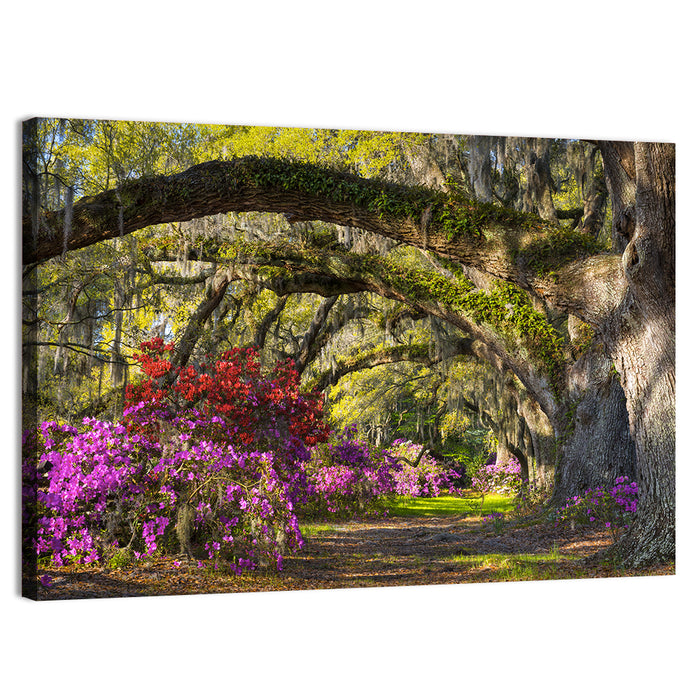 Azalea Garden Path Wall Art as a canvas print