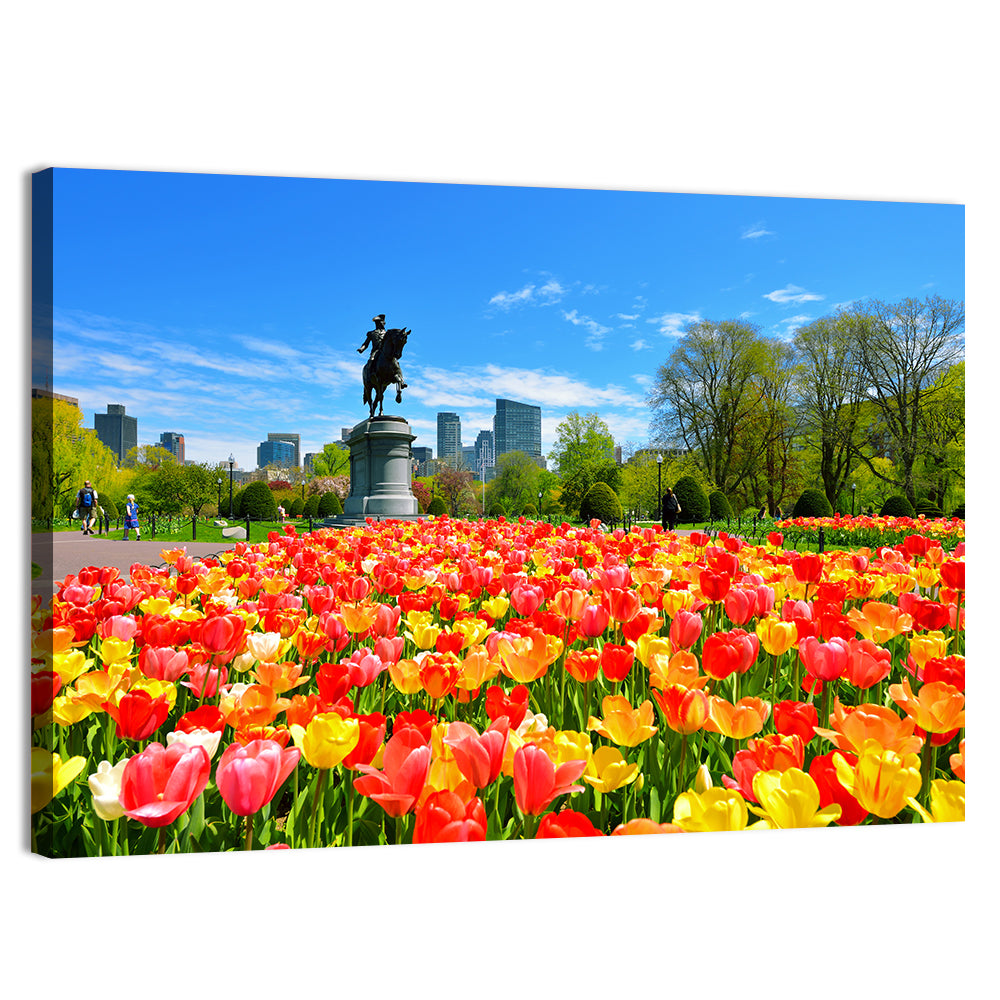 Boston Public Garden Tulips Wall Art