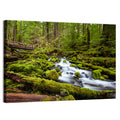 Mossy Cascade Forest Stream Wall Art