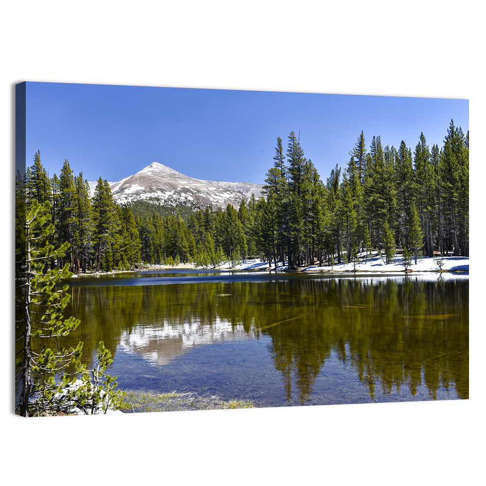 Yosemite Mountain Reflection Wall Art, canvas print, landscape