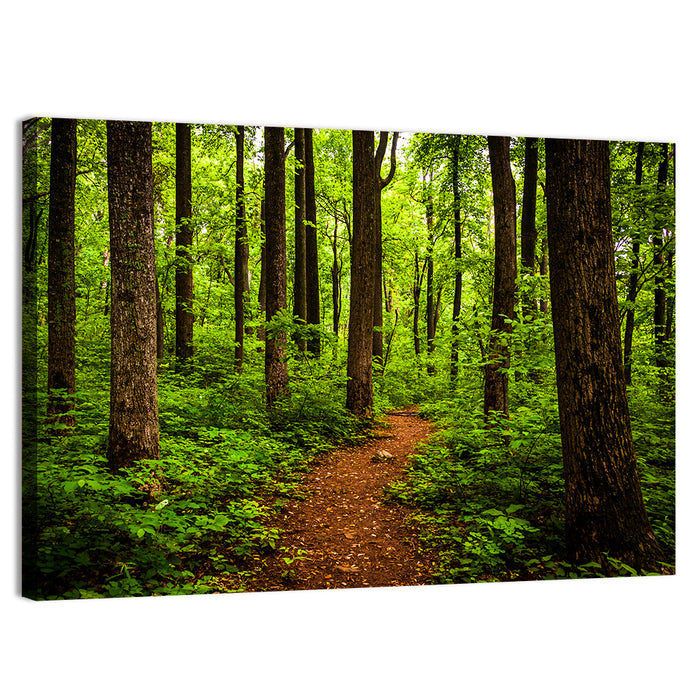 Shenandoah National Park Trail Wall Art as a canvas print