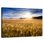 Golden Hour Wheat Field Wall Art
