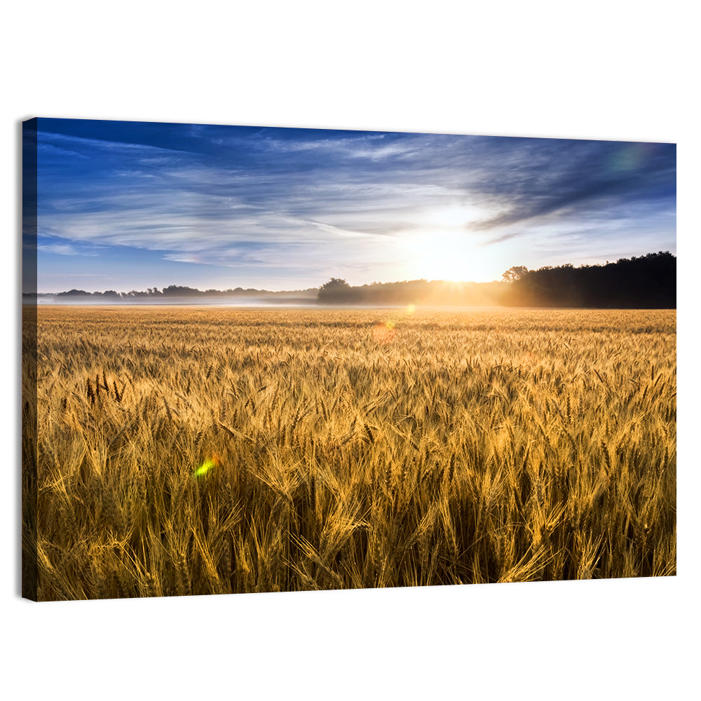 Golden Hour Wheat Field Wall Art