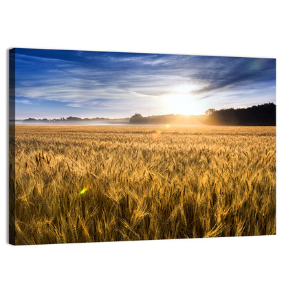 Blooming Wheat Field Wall Art