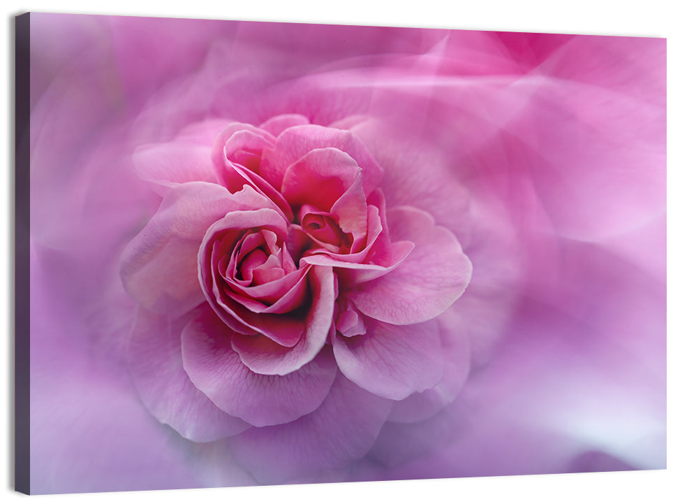 Ethereal Pink Rose Bloom Wall Art, canvas print, landscape
