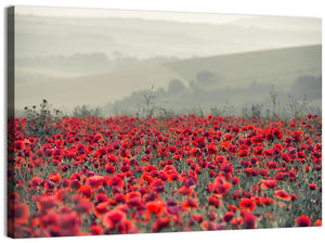 Red Poppy Field Wall Art