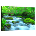 Mossy Forest Stream Wall Art