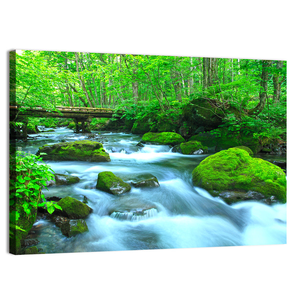 Mossy Forest Stream Wall Art, canvas print, landscape