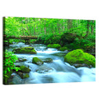 Mossy Forest Stream Wall Art