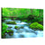 Spring Forest Stream Wall Art