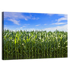Green Corn Field Wall Art