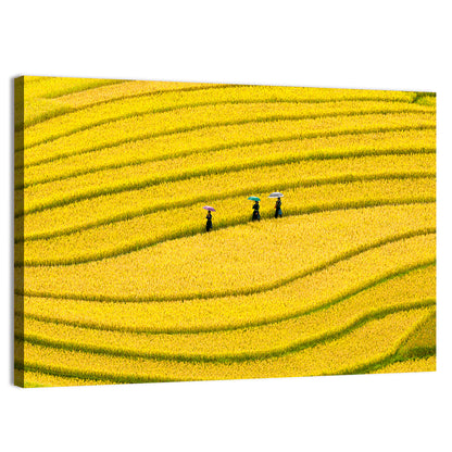 Terraced Rice Fields Wall Art