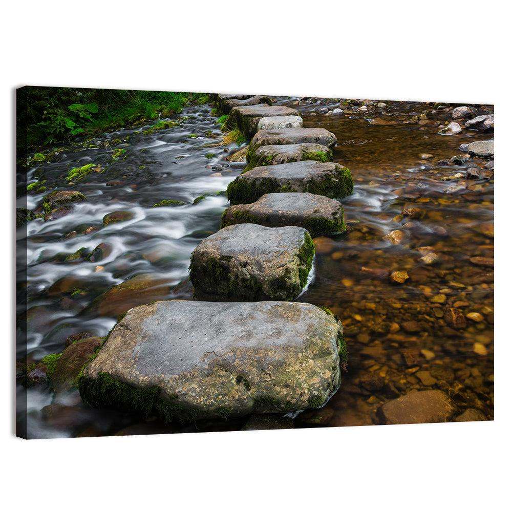 Mossy Stepping Stones Over Stream Wall Art