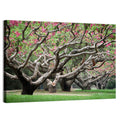 Peach Orchard in Bloom Wall Art