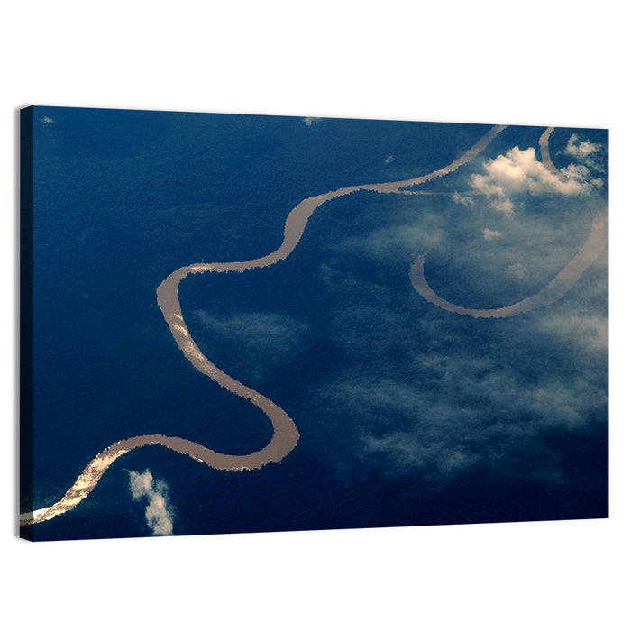 Sunlit Meander of the Amazon River Wall Art as a canvas print