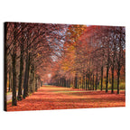 Tree-lined Autumn Lane Wall Art