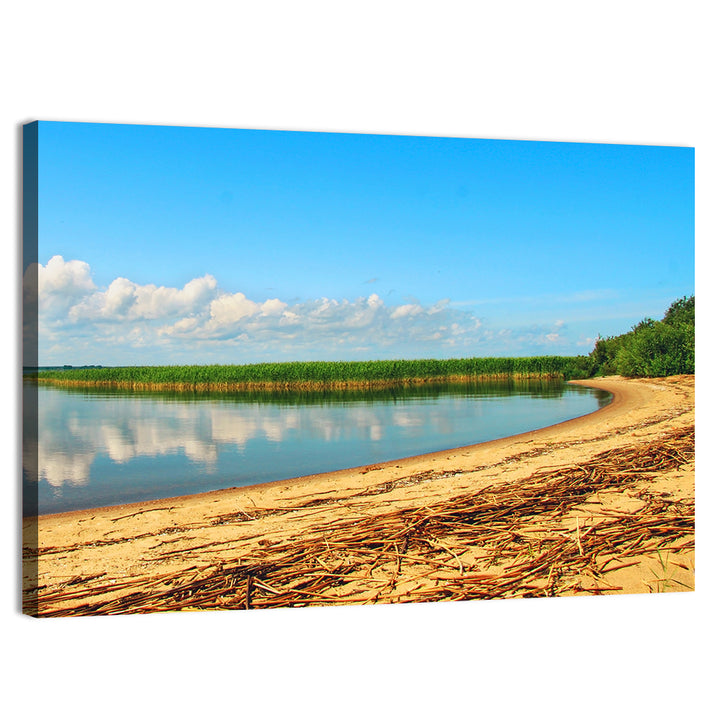 Lake Pskov Shoreline Wall Art