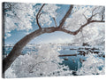 Curving Winter Tree Over Lake Wall Art