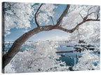 Curving Winter Tree Over Lake Wall Art