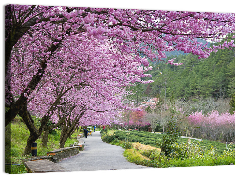 Sakura Garden Taiwan Wall Art
