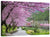 Sakura Garden Taiwan Wall Art