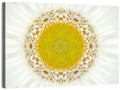 White Flower Mandala Kaleidoscope Wall Art