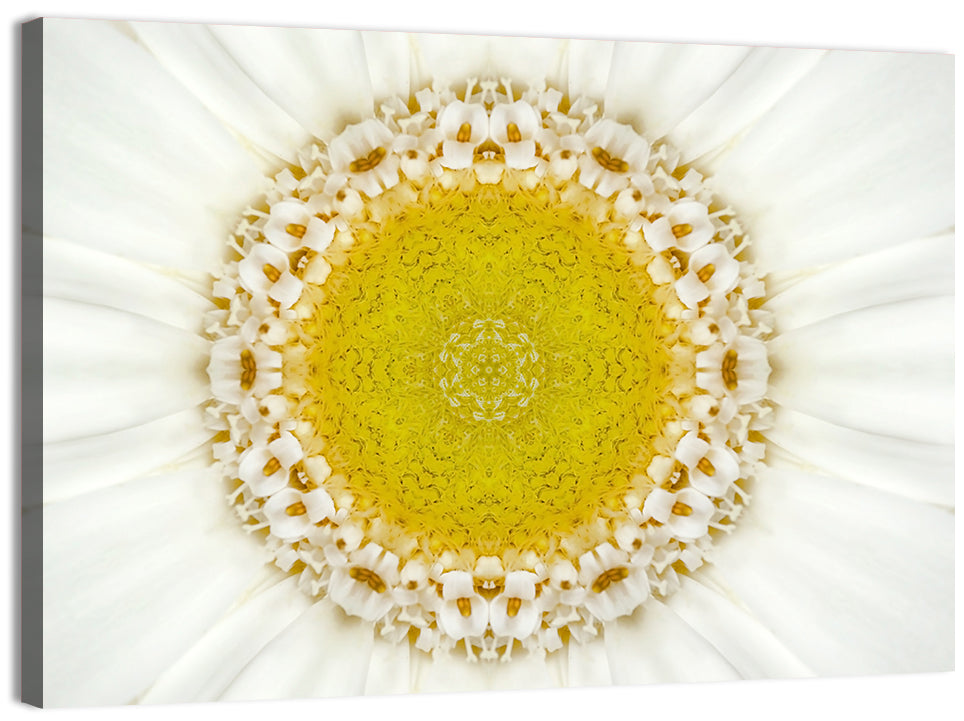 White Flower Mandala Kaleidoscope Wall Art, canvas print, landscape
